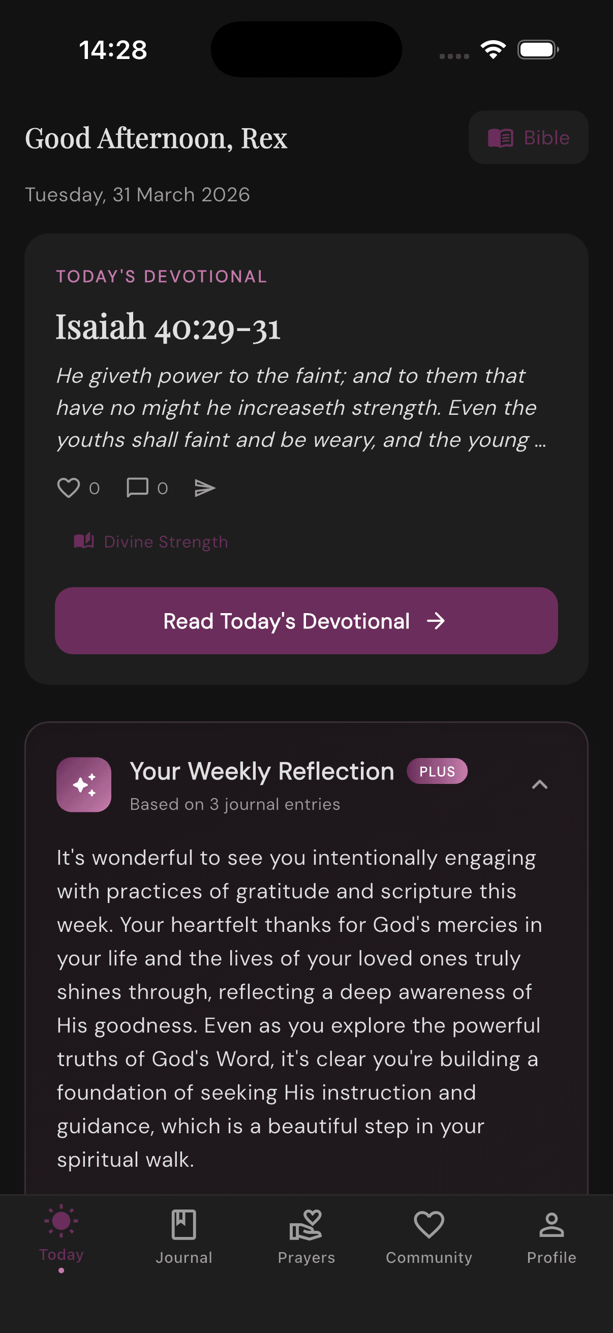 Companion app dark mode
