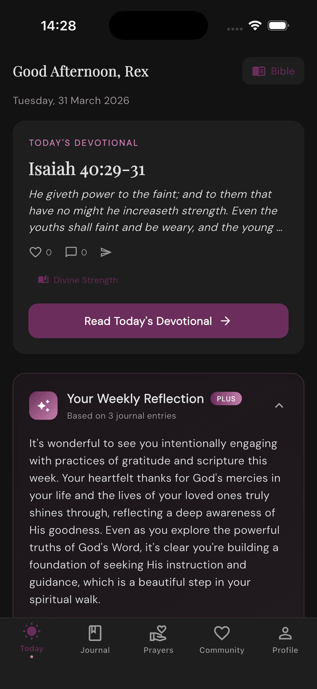 Companion app dark mode