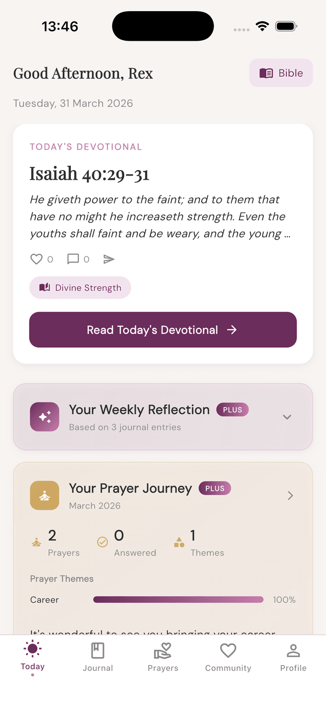 Companion app light mode